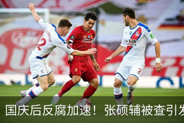 国庆后反腐加速！张硕辅被查引发广泛关注