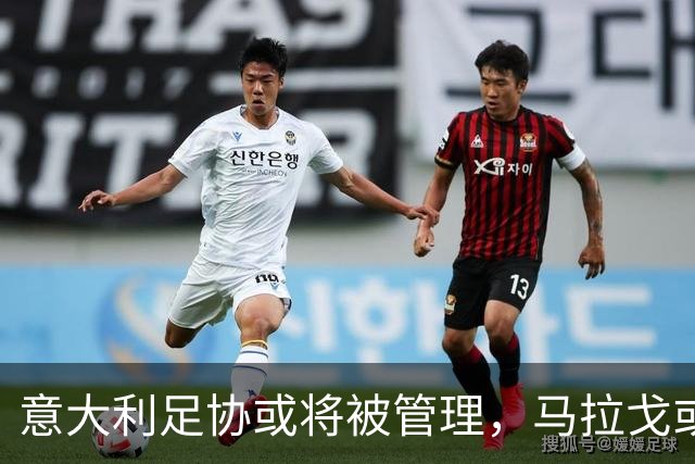 意大利足协或将被管理，马拉戈或成代理负责人