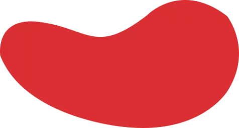 UED体育 -(中国) · UEDBET SPORTS